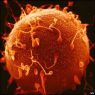 Acupunctuur en IVF